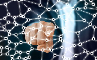 中国篮球职业联赛青训体系的结构优化，中国青年篮球联赛简称