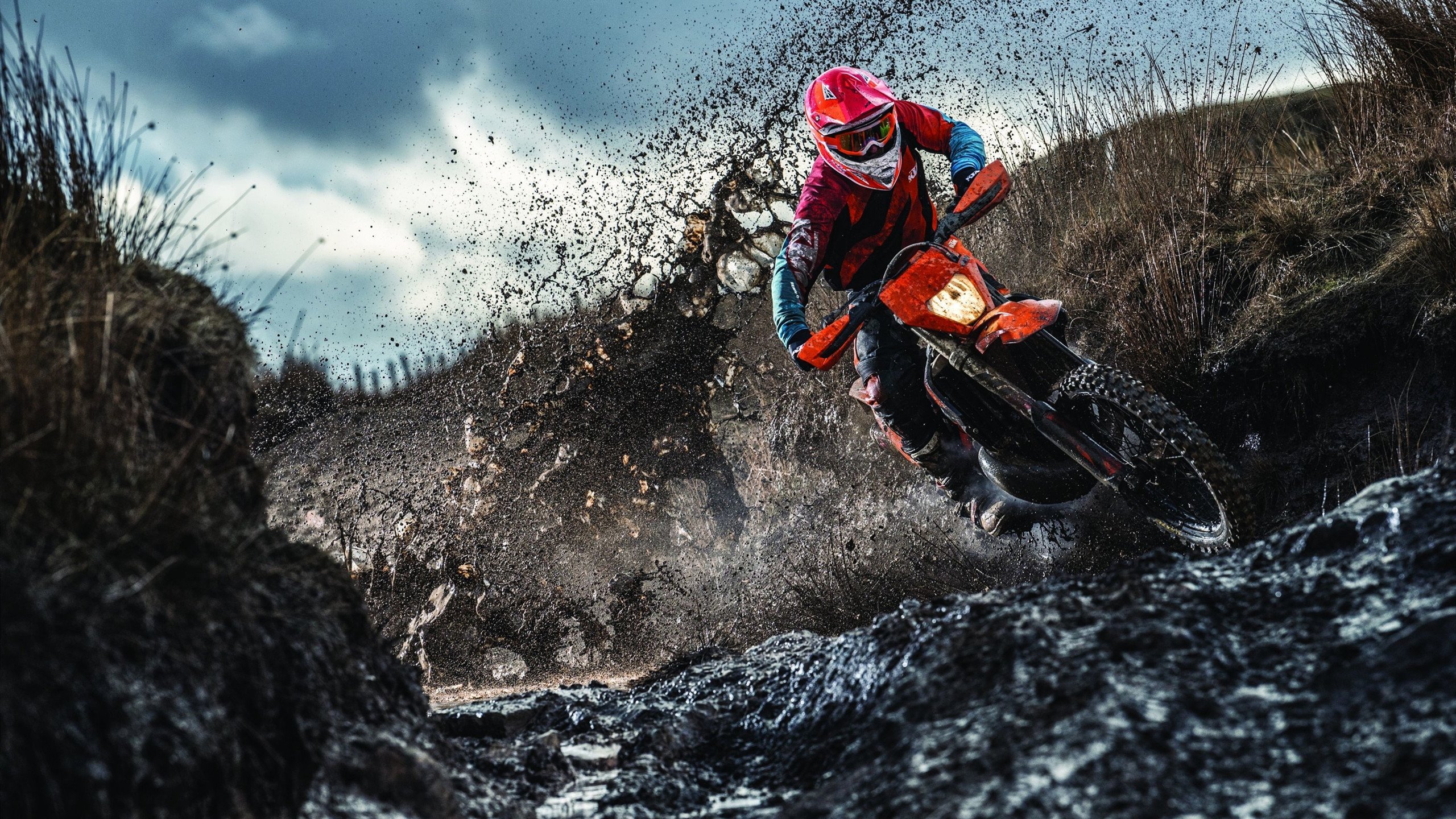 体育新闻中心协办全国体育数字内容应用大会，体育数字化